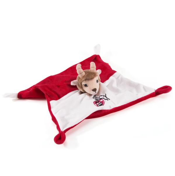 1. FC Köln - Schnuffeltuch